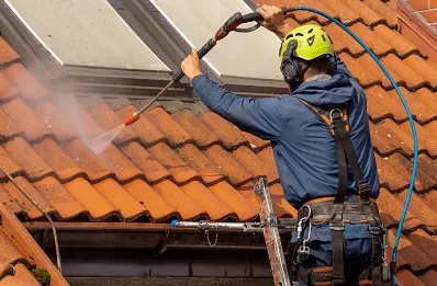 Démoussage et hydrofuge de toiture à Queige